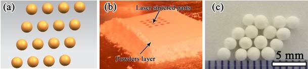 说明: F:\keyan\tougao\FED 2014\Revise\Figures for JNM2\figure 3.tif